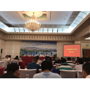 山东新材料产业协会正式成立中厦电子任理事单位