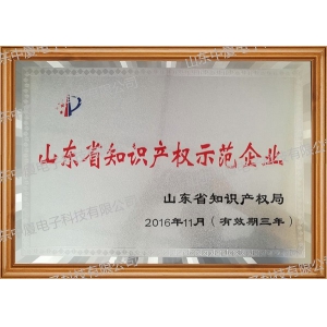 山东省知识产权示范企业